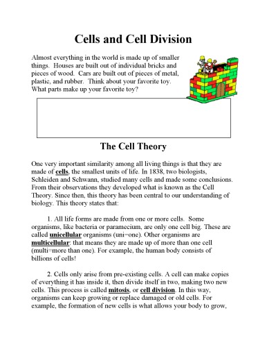 Cells and Cell Division (Biology)