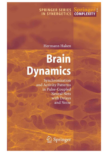 Brain Dynamics: Synchronization and Activity Patterns in Pulse-Coupled Neural Nets with Delays and Noise