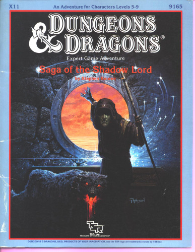 Saga of the Shadow Lord (Dungeons and Dragons Module X11)