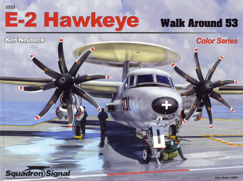 E-2 Hawkeye Color (Walk Around 53)