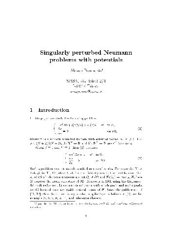 Singularly perturbed Neumann problems with potentials