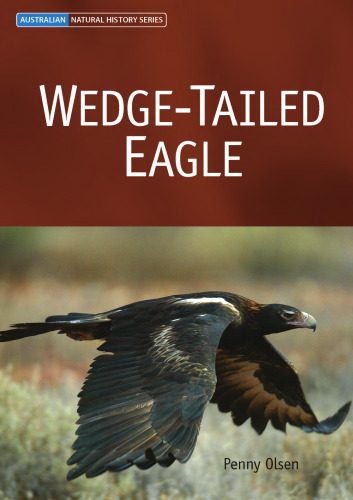 Wedge-Tailed Eagle