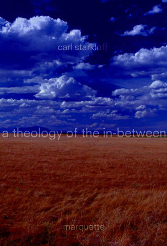 A Theology of the In-Between: The Value of Syncretic Process (Marquette Studies in Theology, #33.)