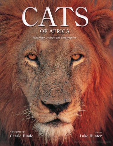 Cats of Africa : Behavior, Ecology, and Conservation