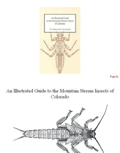 An illustrated guide to the mountain stream insects of Colorado