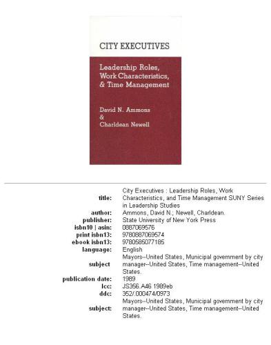 City executives: leadership roles, work characteristics, and time management