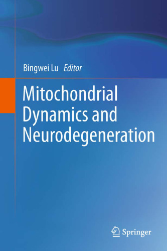 Mitochondrial Dynamics and Neurodegeneration