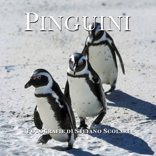 Pinguini