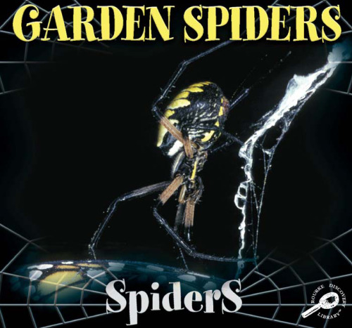 Garden Spiders  