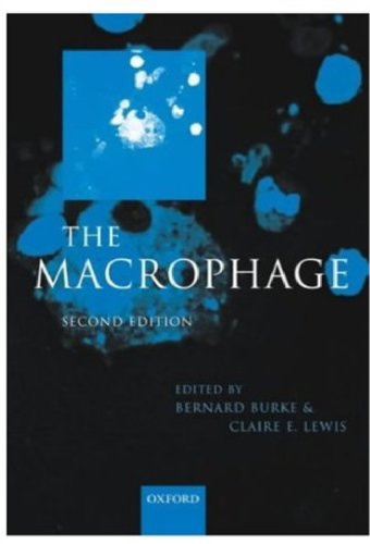 The Macrophage  