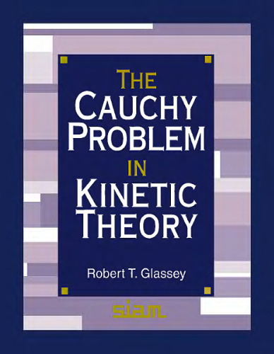 The Cauchy problem in kinetic theory