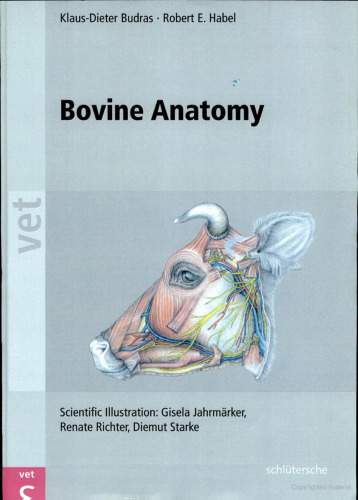 Bovine Anatomy: An Illustrated Text  