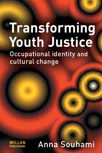 Transforming youth justice: occupational identity and cultural change  