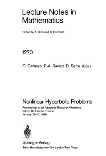 Nonlinear Hyperbolic Problems