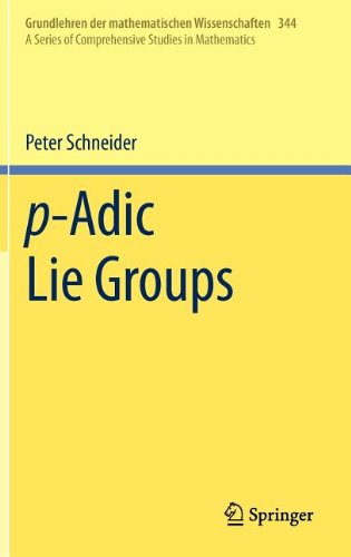 p-Adic Lie Groups