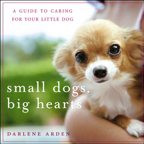 Small Dogs, Big Hearts: A Guide to Caring for Your Little Dog  