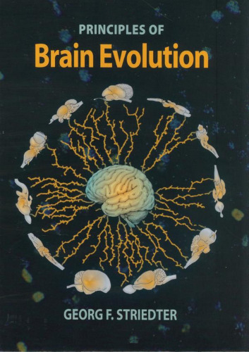 Principles of Brain Evolution  