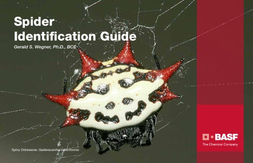 Spider Identification Guide  