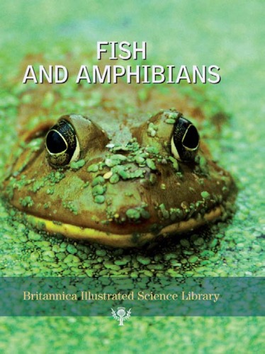 Fish and amphibians  