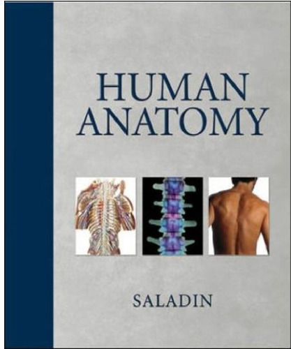 Human Anatomy