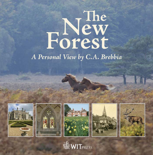 The New Forest--A Personal View by C. A. Brebbia  