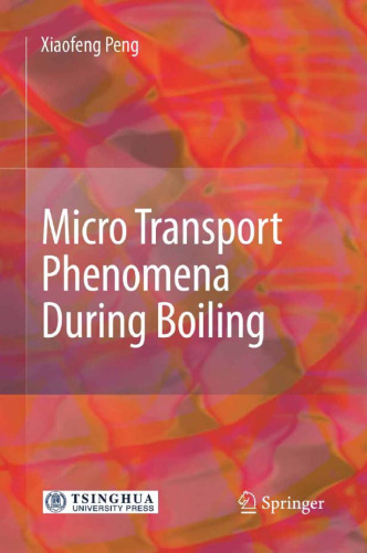 Micro Transport Phenomena During Boiling  