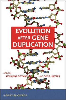 Evolution after Gene Duplication  