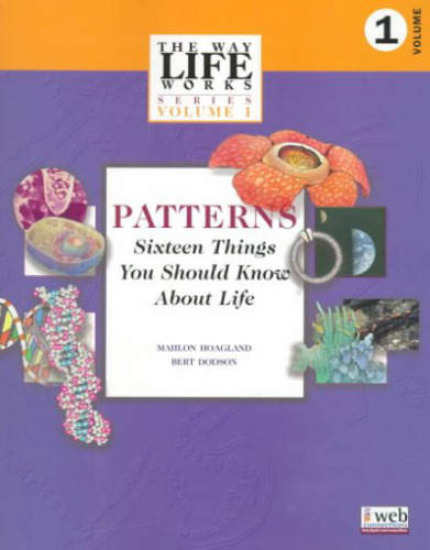 Patterns: Sixteen Things You Should Know About Life  