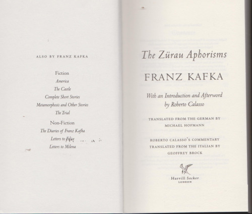 The Zürau Aphorisms  