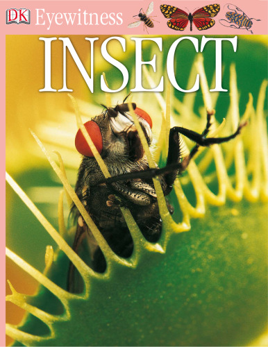 Insect (DK Eyewitness Books)  