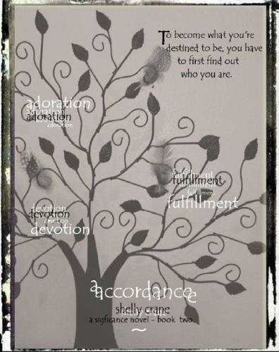 Accordance: A Significance Series Novel - Book Two (Volume 2)  