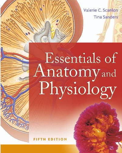 Essentials of Anatomy and Physiology