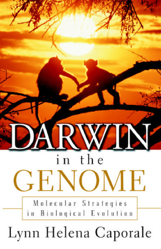 Darwin in the genome: molecular strategies in biological evolution  