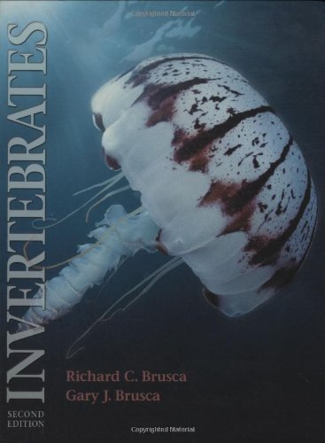 Invertebrates (2nd Ed.)  