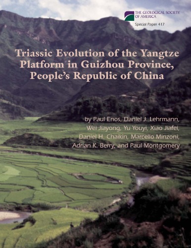 Triassic evolution of the Yangtze platform in Guizhou Province, People's Republic of China