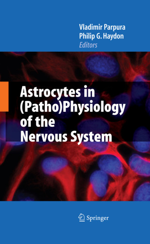 Astrocytes in (Patho)Physiology of the Nervous System    