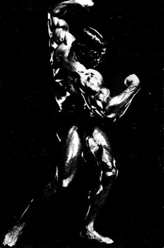 Arnold: The Education of a Bodybuilder