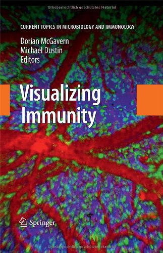 Visualizing Immunity