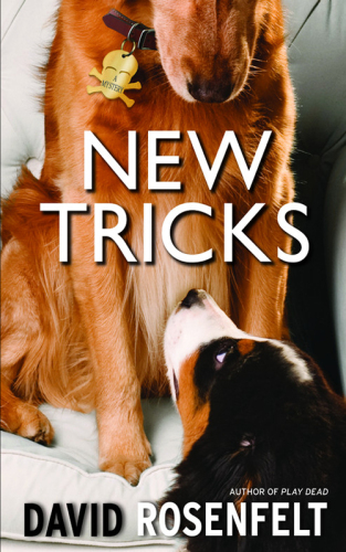 New Tricks (Thorndike Core)