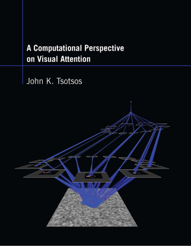 A Computational Perspective on Visual Attention