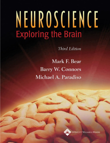 Neuroscience: exploring the brain