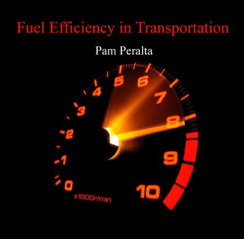 Fuel Efficiency in Transportation