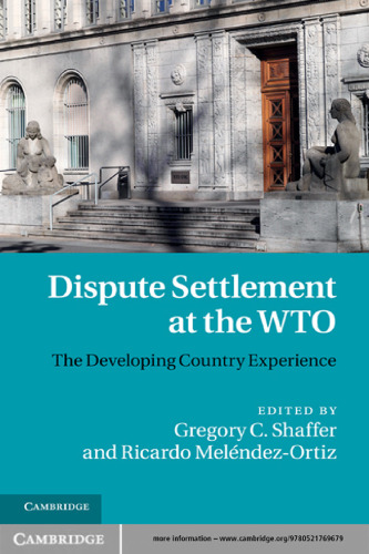 Dispute Settlement at the WTO: The Developing Country Experience