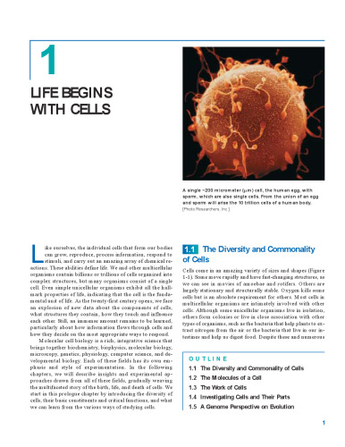 Molecular Cell Biology