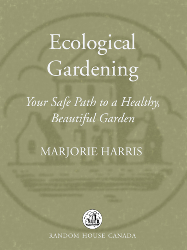 Ecological Gardening: Your Path to a Healthy Garden