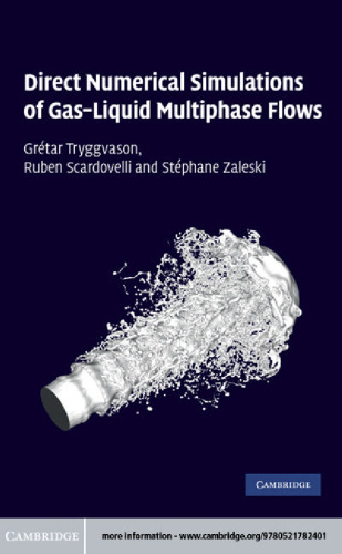 Direct Numerical Simulations of Gas-Liquid Multiphase Flows