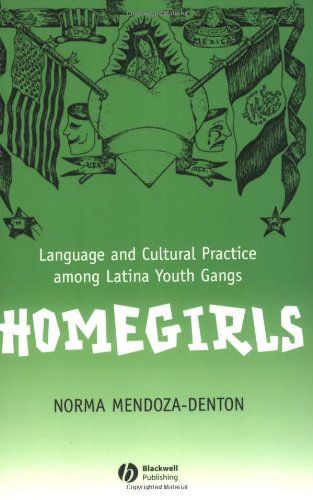 Homegirls: Language and Cultural Practice Among Latina Youth Gangs