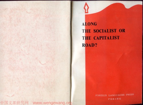 Along the Socialist or Capitalist Road?