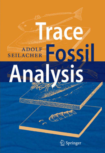 Trace Fossil Analysis