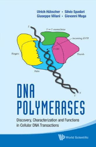 DNA Polymerases: Discovery, Characterization and Functions in Cellular DNA Transactions